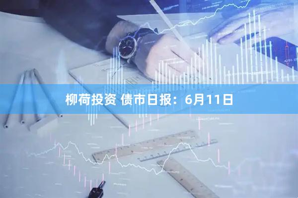 柳荷投资 债市日报：6月11日