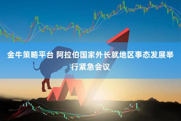 金牛策略平台 阿拉伯国家外长就地区事态发展举行紧急会议