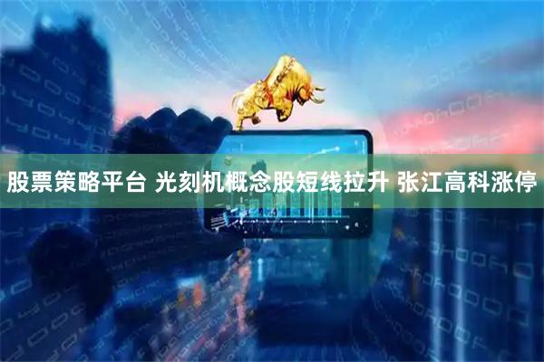 股票策略平台 光刻机概念股短线拉升 张江高科涨停