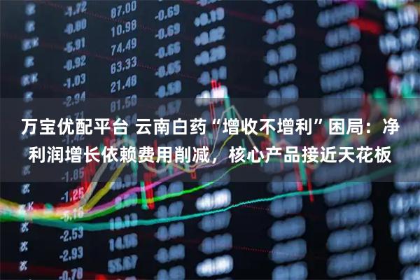 万宝优配平台 云南白药“增收不增利”困局：净利润增长依赖费用削减，核心产品接近天花板