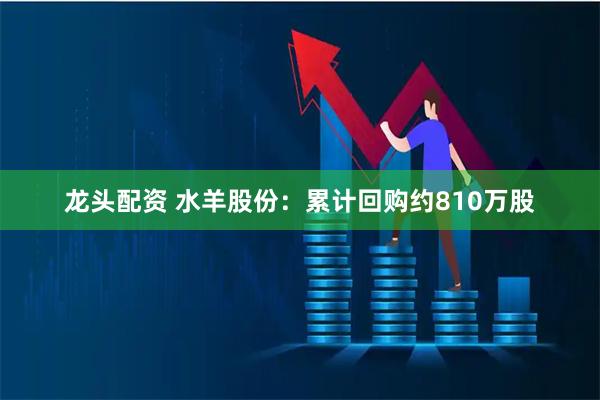 龙头配资 水羊股份：累计回购约810万股