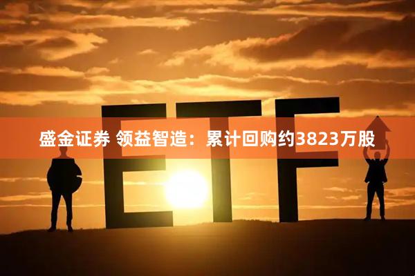 盛金证券 领益智造：累计回购约3823万股