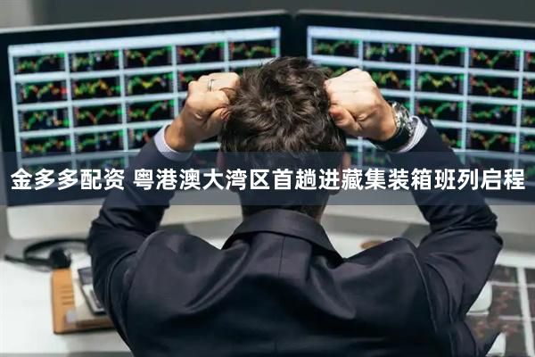 金多多配资 粤港澳大湾区首趟进藏集装箱班列启程
