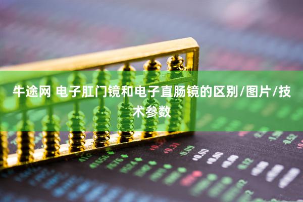牛途网 电子肛门镜和电子直肠镜的区别/图片/技术参数